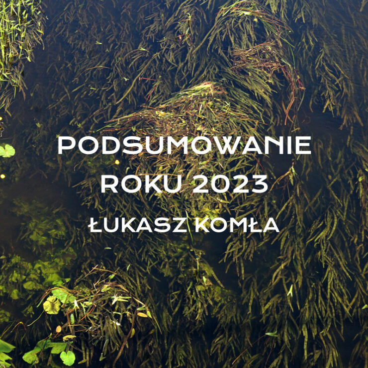 Podsumowanie roku 2023