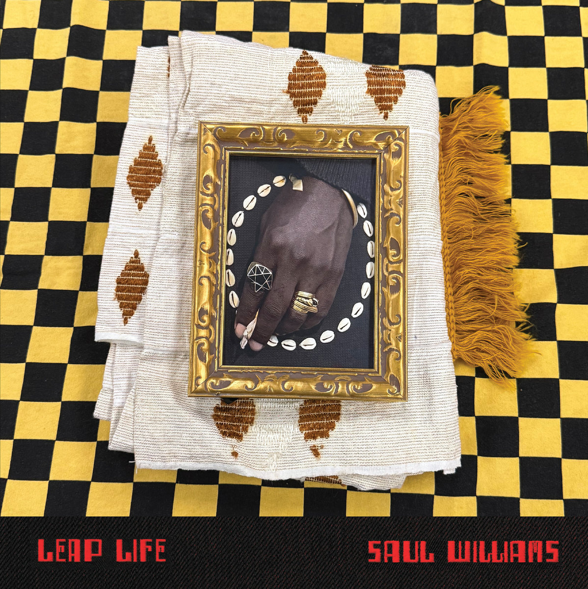 Saul Williams – Leap Life