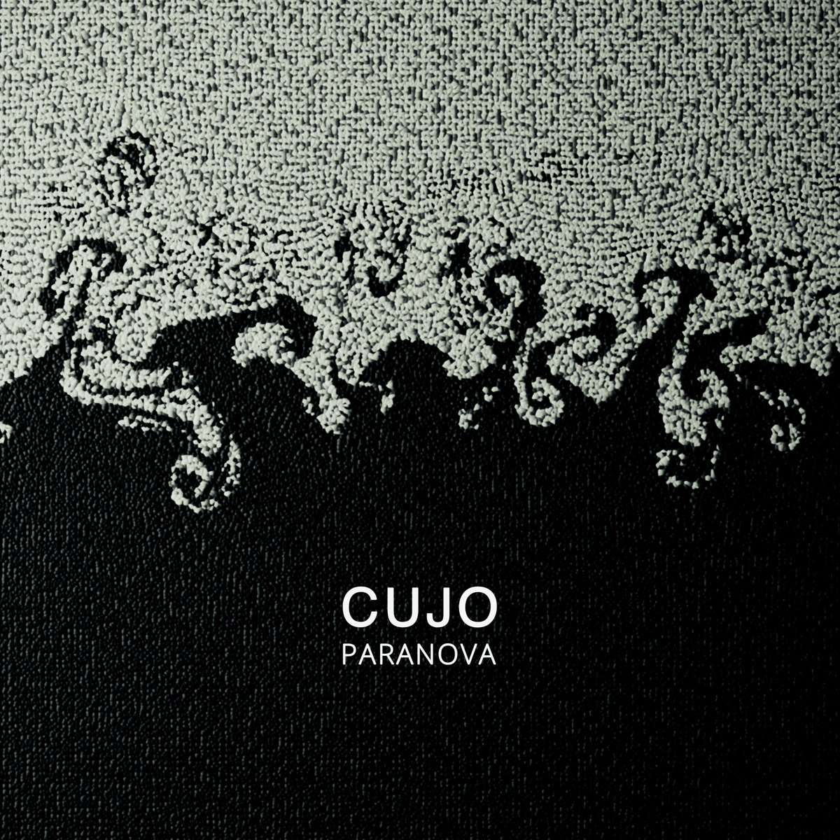 Cujo – Paranova